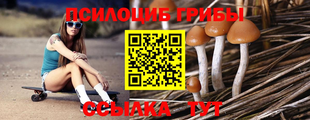Псилоцибиновые грибы мицелий  Вход с VPN  Черногорск  Псилоцибиновые грибы MAGIC MUSHROOMS 