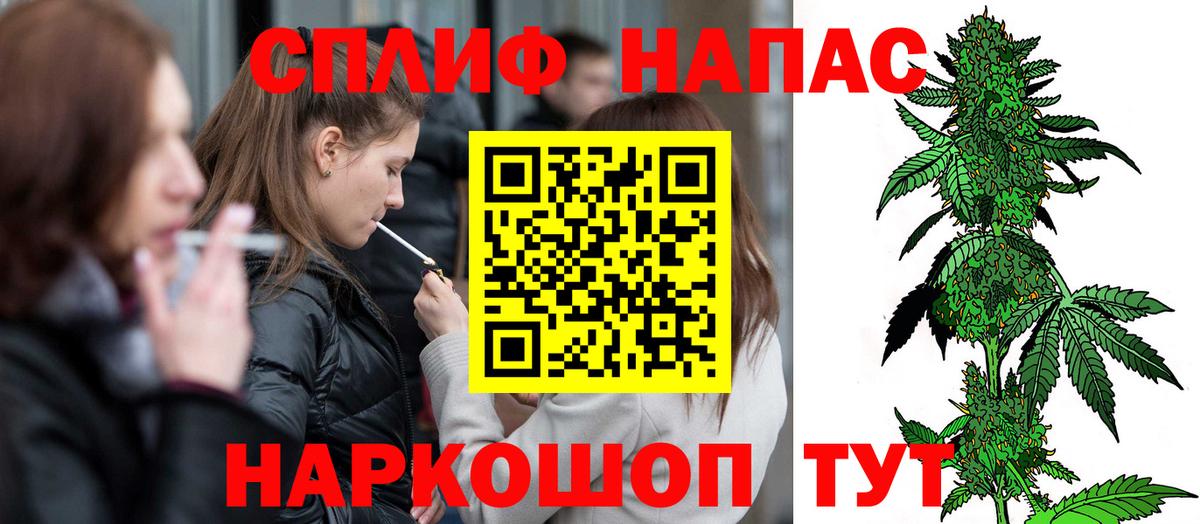 Каннабис гибрид Черногорск